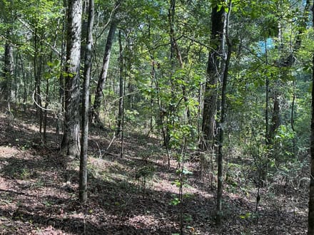 1.77 Acre Homesite