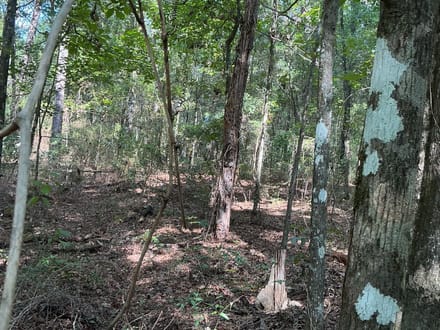 1.77 Acre Homesite