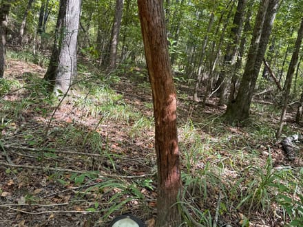 Blue Sky 970 acres - Redland Road / Rifle Range Rd - Elmore County