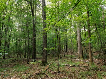 Blue Sky 970 acres - Redland Road / Rifle Range Rd - Elmore County