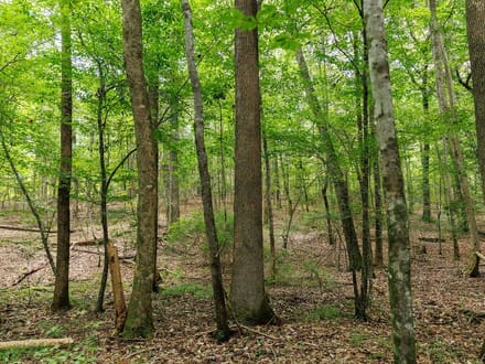 Blue Sky 970 acres - Redland Road / Rifle Range Rd - Elmore County