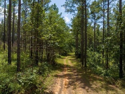 Blue Sky 970 acres - Redland Road / Rifle Range Rd - Elmore County