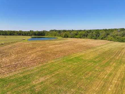 Gorgeous Open Meadow Homesite in Pike Road! 