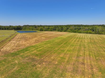 Gorgeous Open Meadow Homesite in Pike Road! 