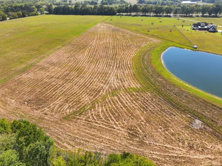 Gorgeous Open Meadow Homesite in Pike Road! 