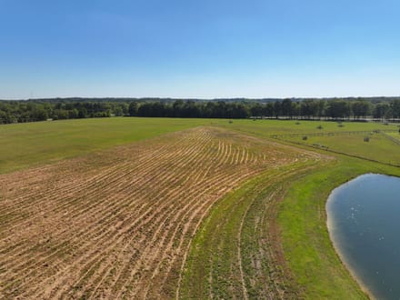 Gorgeous Open Meadow Homesite in Pike Road! 