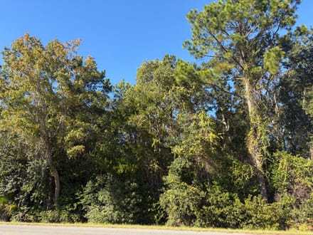 1.84 Acres with Multiple Development Options