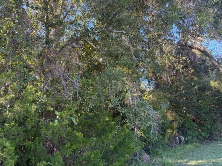1.84 Acres with Multiple Development Options