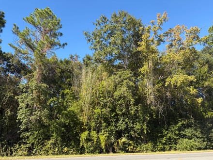 1.84 Acres with Multiple Development Options