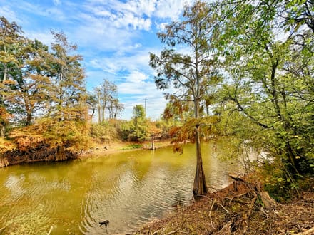 Uncle Henry's!!! Historic Moon Lake landmark and 3.33 acres