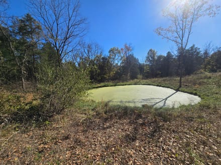 14+/- Acres Hunting / Recreational Switzerland County
