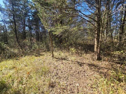 14+/- Acres Hunting / Recreational Switzerland County