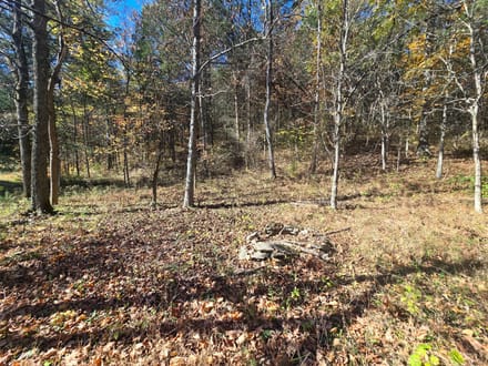 14+/- Acres Hunting / Recreational Switzerland County