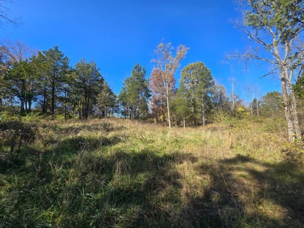 14+/- Acres Hunting / Recreational Switzerland County