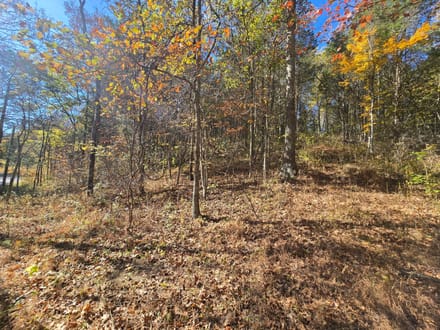 14+/- Acres Hunting / Recreational Switzerland County