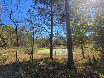 14+/- Acres Hunting / Recreational Switzerland County