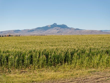 Large Acreage Farm and Ranch