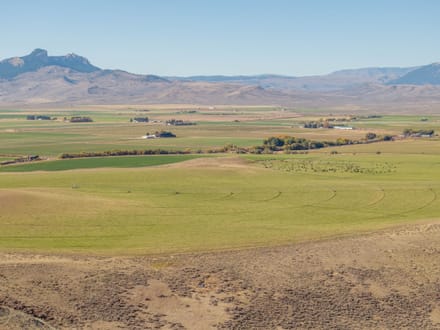 Large Acreage Farm and Ranch