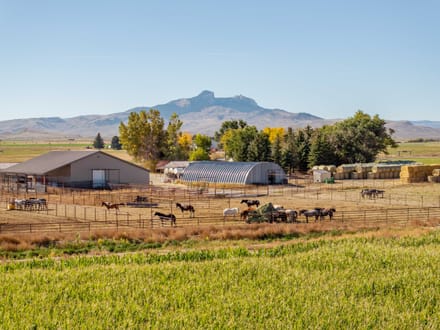 Large Acreage Farm and Ranch