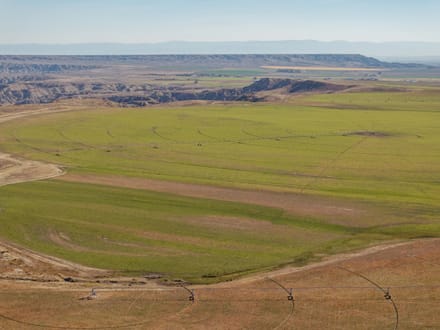 Large Acreage Farm and Ranch