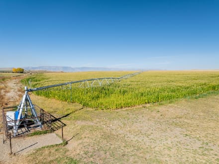 Large Acreage Farm and Ranch