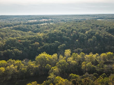 Long Spring Ranch