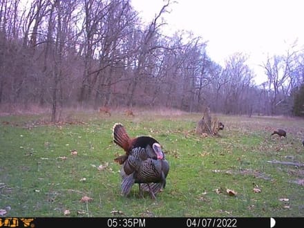 Corn Creek Hunting Retreat 