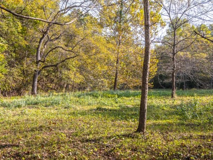 Long Spring Farm Tract 3