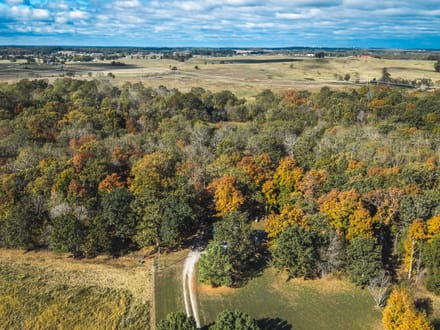 Hickory Homestead