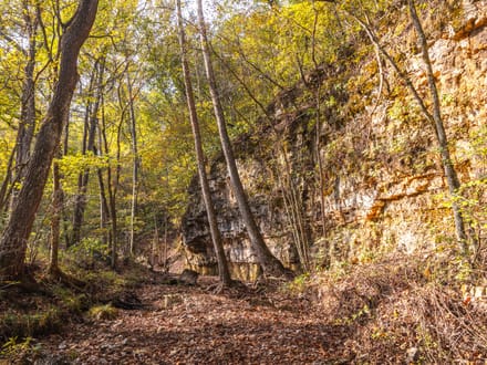 Long Spring Farm Tract 2