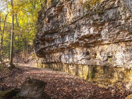 Long Spring Farm Tract 2