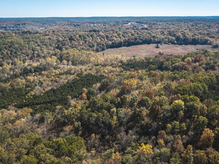 Courtois Springs Retreat 