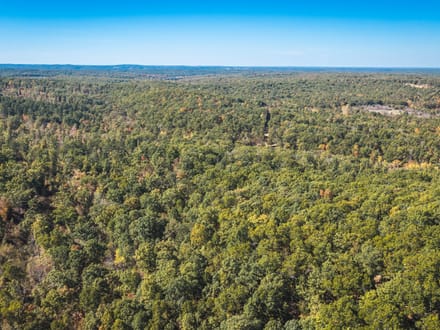 Courtois Springs Retreat 