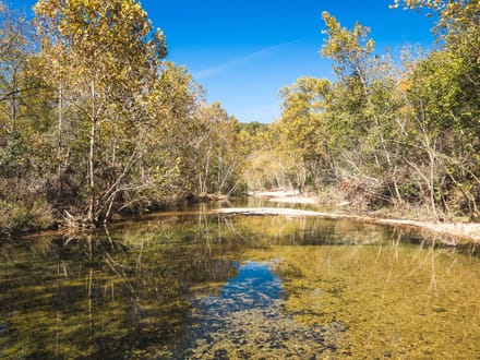 Courtois Springs Retreat 
