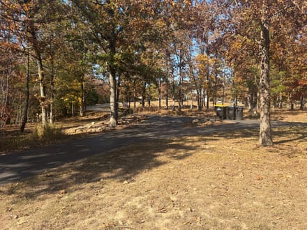 Whitetail Crossing