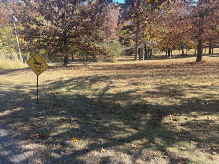 Whitetail Crossing