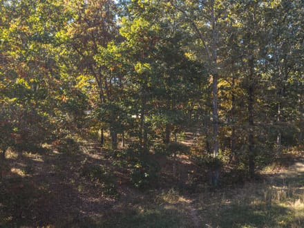 Brookhaven 3