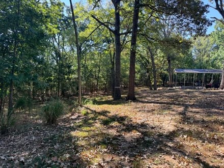 Bull Shoals Lake Life – The Complete Package!