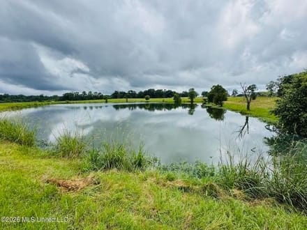  Gillsburg MS Farmhouse Estate on 89.2Acres 