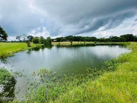  Gillsburg MS Farmhouse Estate on 89.2Acres 