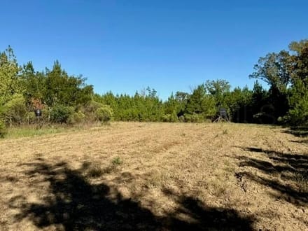 63 Acres | Oktibbeha County