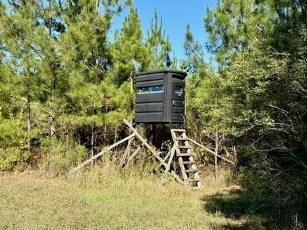 63 Acres | Oktibbeha County
