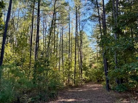 63 Acres | Oktibbeha County