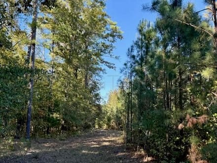 63 Acres | Oktibbeha County