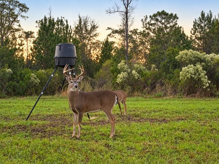 63 Acres | Oktibbeha County
