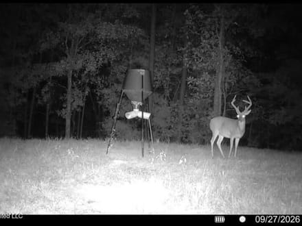 43± Acre Hunting Property in Amite County, MS