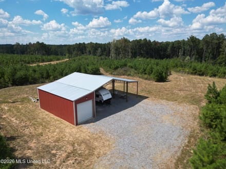 43± Acre Hunting Property in Amite County, MS