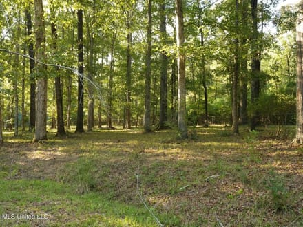 3.5± Acres for Home or Business Near Summit, MS