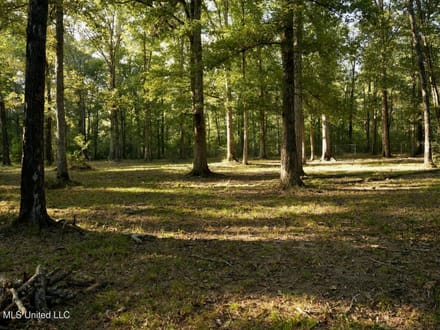 3.5± Acres for Home or Business Near Summit, MS