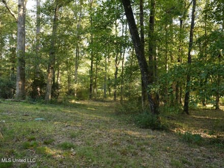 3.5± Acres for Home or Business Near Summit, MS